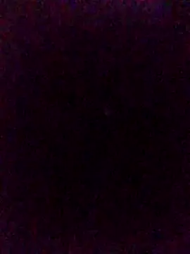ALEX-BHASHI2 웹캠 쇼