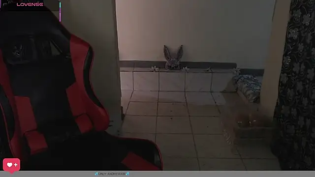 Show Webcam de andrewxbi