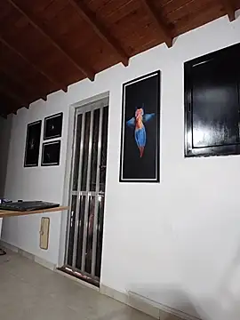 Chat XXX en directo de SilvaBranko