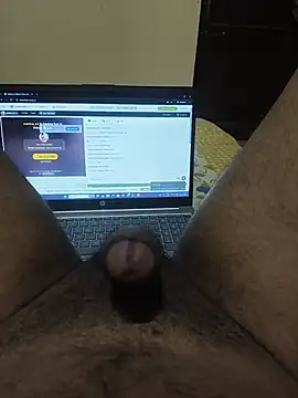 Show Webcam de rjkr953