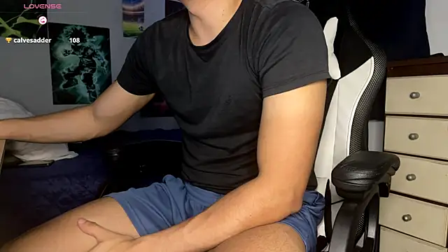Show webcam de hyungboy