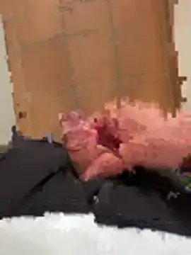 gymcock39 Webcamshow