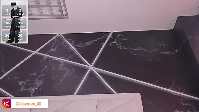 צ'אט XXX בשידור חי של AerumChae