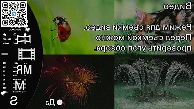 ShinBeckel 现场XXX聊天