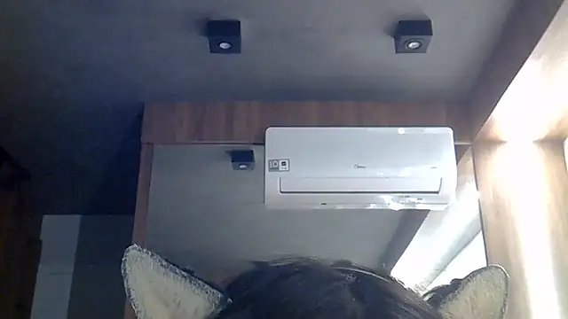 Chat +18 de SkinnyKitten ao vivo