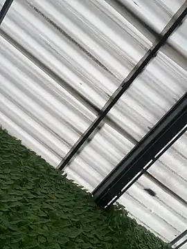 Živý XXX chat LilyRossi_