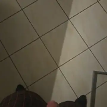 Zauberstab8 Chat XXX live