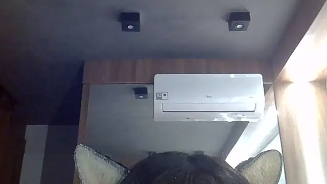 Show de SkinnyKitten na webcam