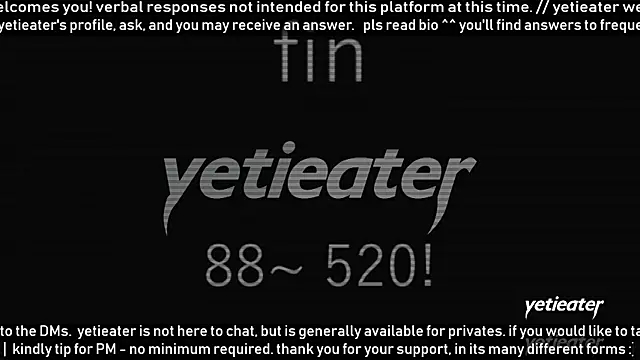 Show webcam de yetieater