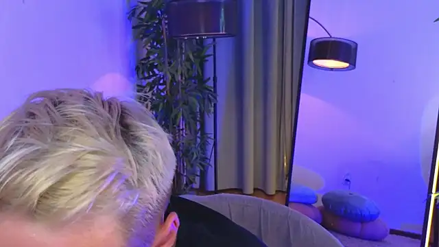 عرض كام e1v1s