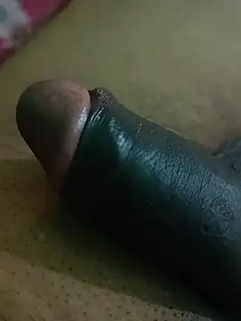 Raajaaryan – webcam-show