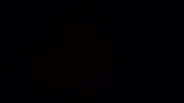 EmilyWhite9 라이브 XXX 채팅