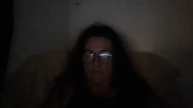 Show Webcam de Tillieuk