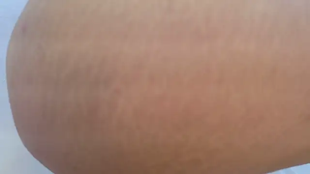 Soficabrera Live XXX-chat