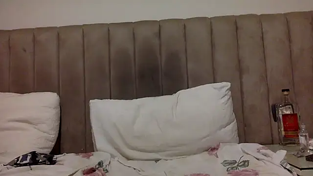 CaiBull 即時 XXX 聊天