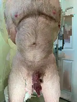 Toy_Gunn's Webcam Show