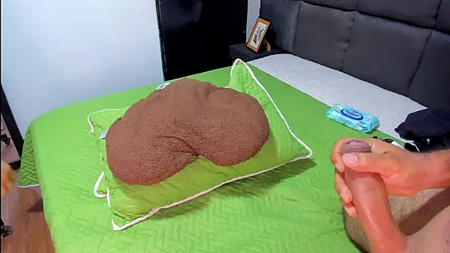 6_bunny_9 Show in webcam