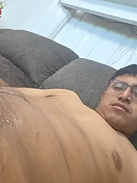 Show webcam de lopic