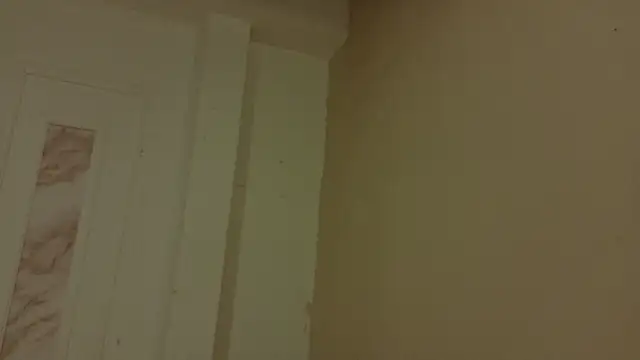Alexa__5 现场XXX聊天