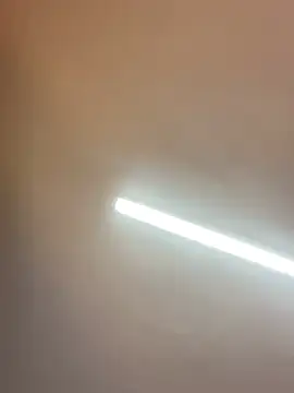 EMILYY_FOXY's Live XXX Chat