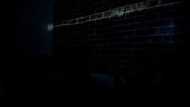 Freedom_24 Live XXX-chat