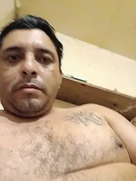 125Delfin90 Pertunjukan Webcam