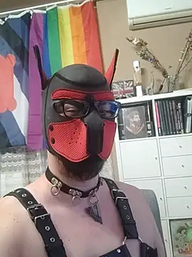 fassbander Webcam show
