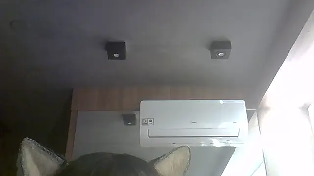 Show de webcam de SkinnyKitten
