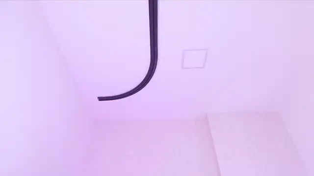 _carolina_fox 라이브 XXX 채팅