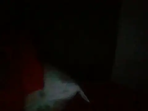 moraninha 网络视讯表演