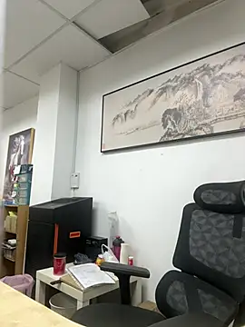 Cunzhangshibage02 Show Webcam