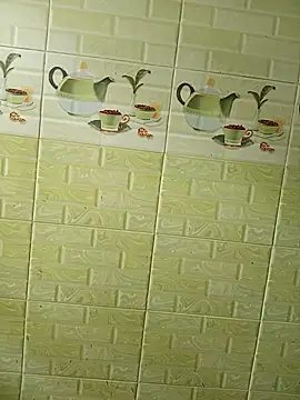 Tanha18 Adlı Modelin Canlı XXX Sohbeti
