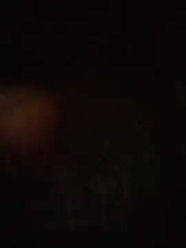 S7LEALTADPERVLIMA7n Webbikameraesitys