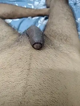 Jack31531 élő XXX-chatje