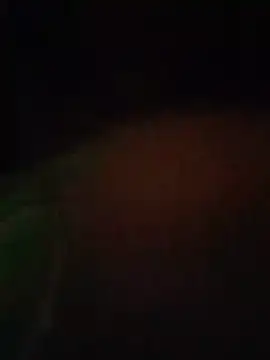 S7LEALTADPERVLIMA7 Live XXX-Chat