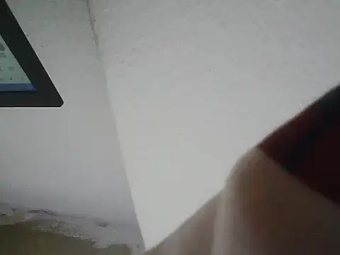 Show webcam de lickthehottie