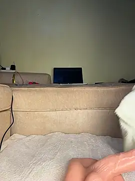 Anal_queenD Obrolan Langsung XXX