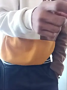 gsewのウェブカメラショー