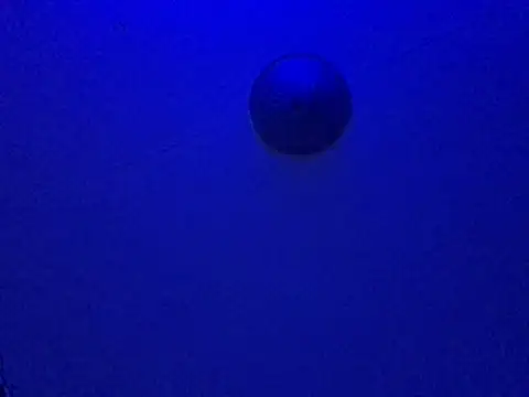 St8tattspundadddy's Webcam Show