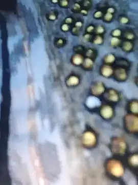Aafreen_36 – Naživo XXX chat
