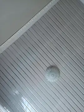 Chat XXX Live MUHDIC