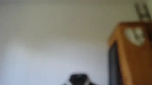Lisakisss Chat XXX live