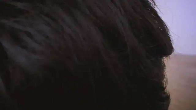 Chat +18 de Sweet_Allan ao vivo