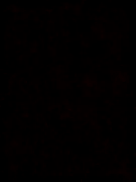 عرض كام Pichula_rica