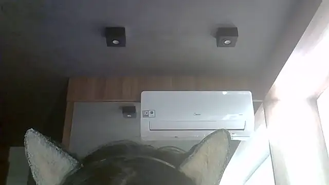 Show de webcam de SkinnyKitten
