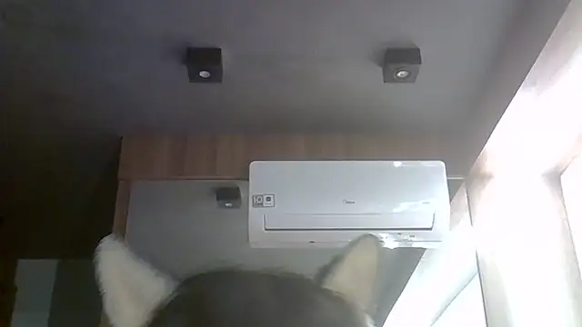 Chat XXX ao vivo de SkinnyKitten
