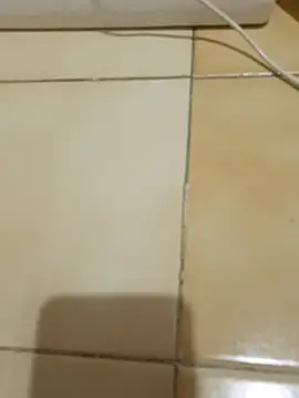 Alevsiz's Live XXX Chat