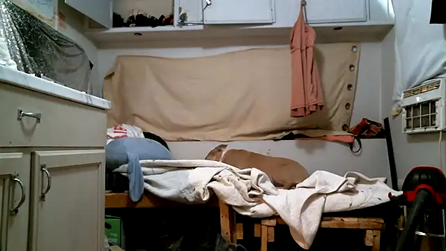 SexyB214 Live XXX-chat