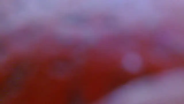 morenahott1's Live XXX Chat