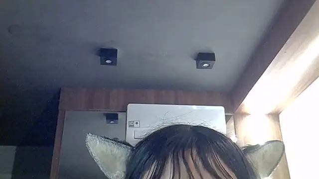 SkinnyKitten 即時 XXX 聊天
